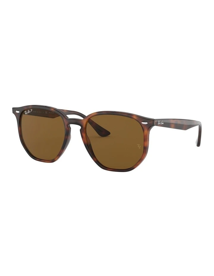 Brown RB4306F Polarised Sunglasses