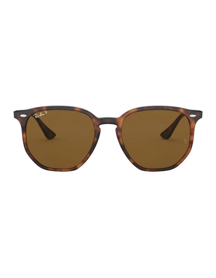 Brown RB4306F Polarised Sunglasses