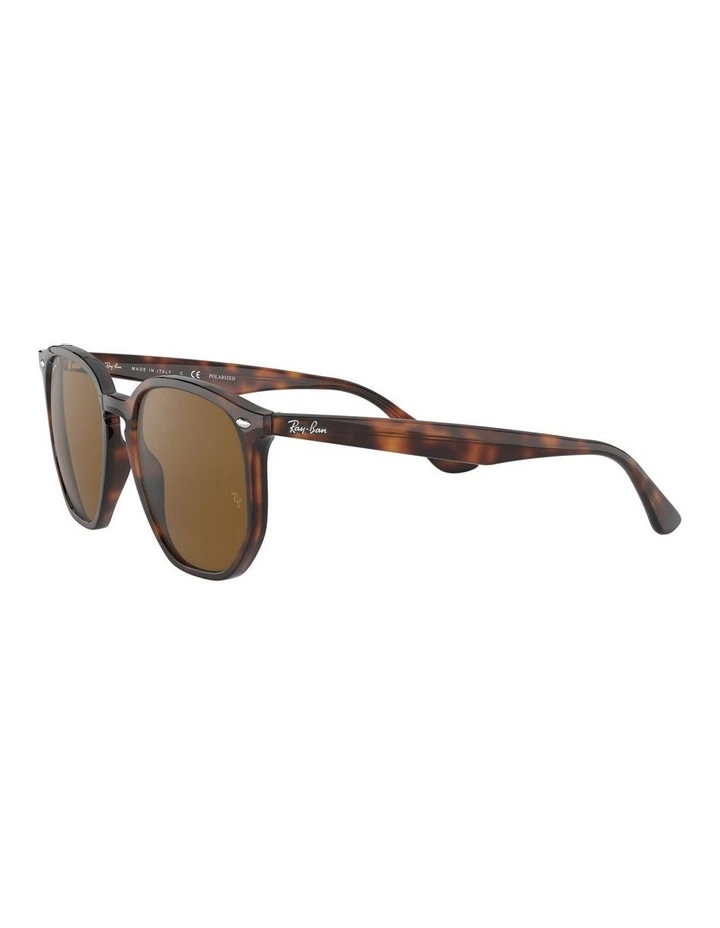 Brown RB4306F Polarised Sunglasses