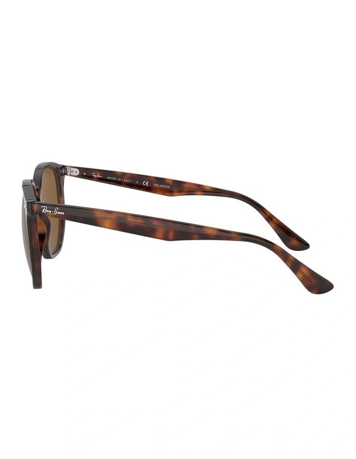 Brown RB4306F Polarised Sunglasses