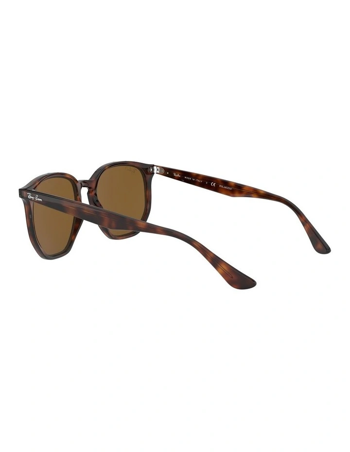 Brown RB4306F Polarised Sunglasses