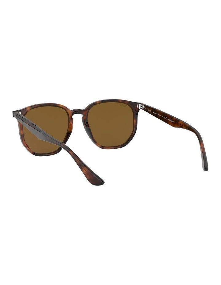 Brown RB4306F Polarised Sunglasses