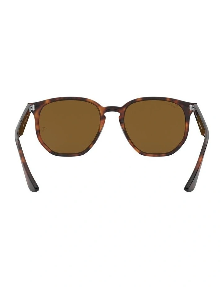 Brown RB4306F Polarised Sunglasses