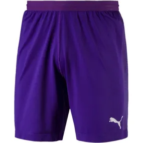 Puma FINAL evoKNIT GK Shorts