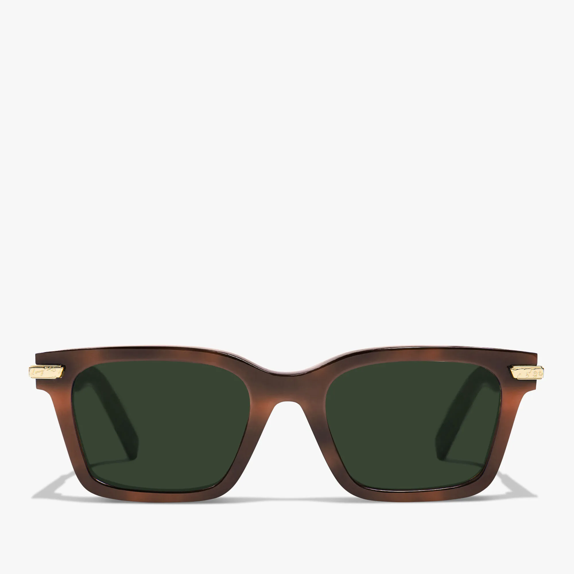 Radiant Acetate Sunglasses